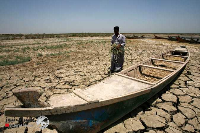 خبير بيئي: شحة المياه وتدهور الأراضي تهدد القطاع الزراعي في العراق