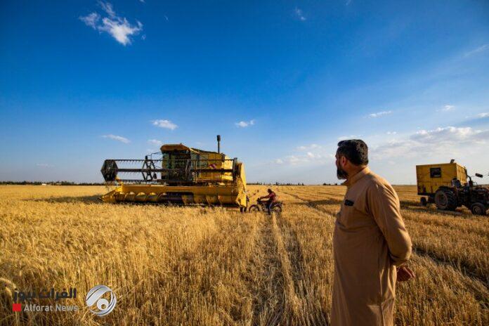 الزراعة توجه بإطلاق استلام البذور لدعم الأمن الغذائي