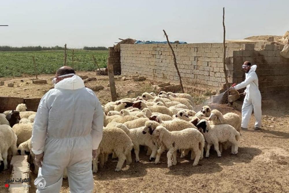 إصابتان جديدتان بالحمى النزفية في الناصرية
