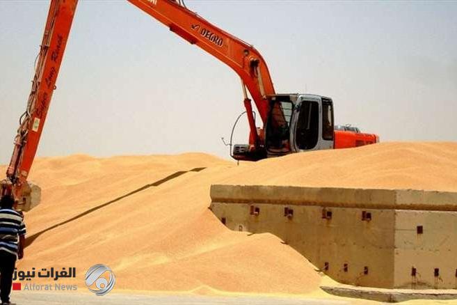 محافظ الأنبار يعلن تحقيق الاكتفاء الذاتي من محصول الحنطة