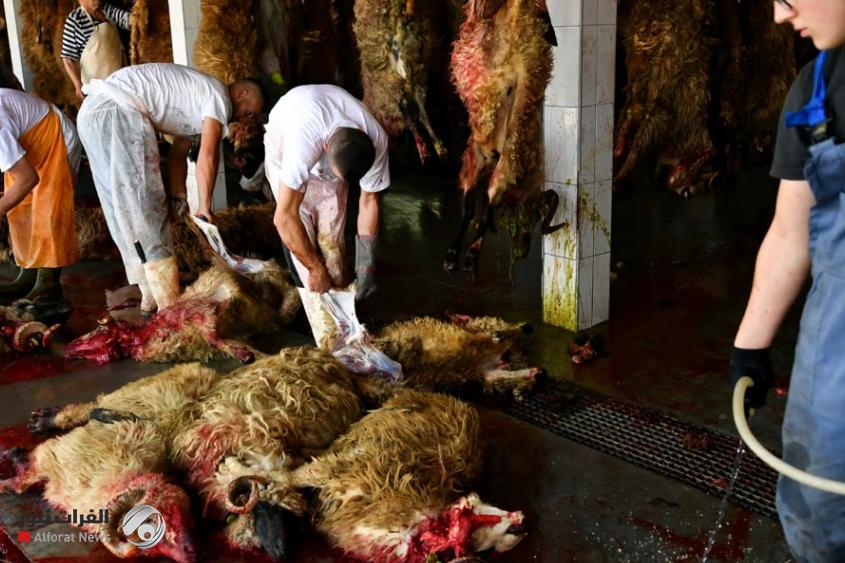 دولة عربية تبتكر حلاً للتخلص من نفايات العيد
