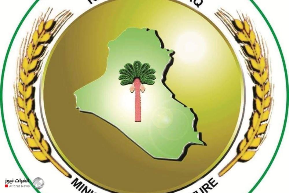 الزراعة العراقية تتصدر عالمياً باختبار إنبات بذور البنجر السكري