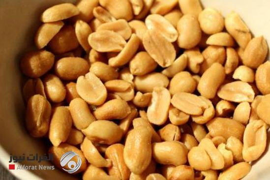 الفول السوداني.. غذاء بسيط بفوائد كبيرة ومخاطر خفية