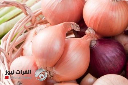 دراسة: البصل يُخفّض سكر الدم والكوليسترول