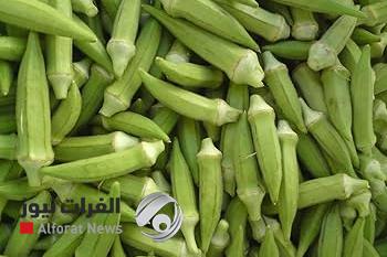 دراسة مفاجئة.. "البامية" لمحاربة السمنة