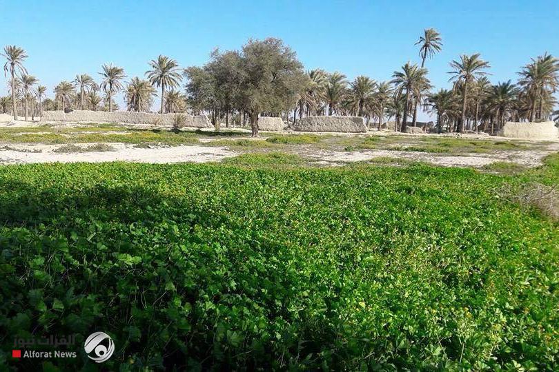 الزراعة النيابية تشدد على إيصال التيار الكهربائي للمناطق الزراعية
