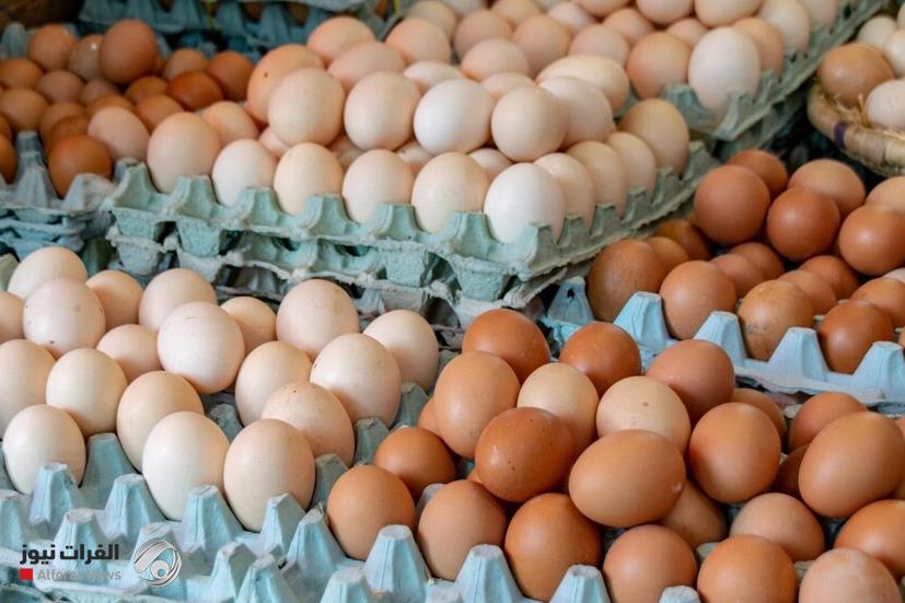 ارتفاع أسعار البيض في الولايات المتحدة إلى مستوى قياسي