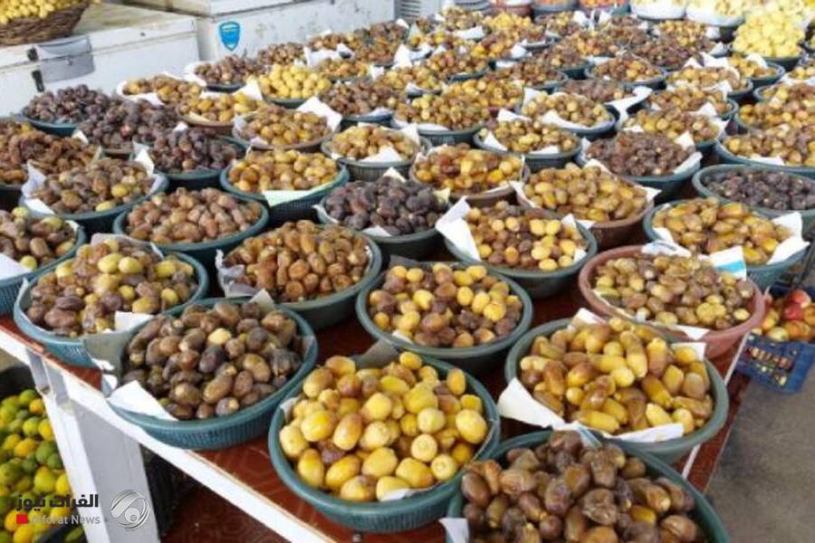الزراعة: ازدهار زراعة النخيل في العراق وارتفاع أصنافها إلى 520