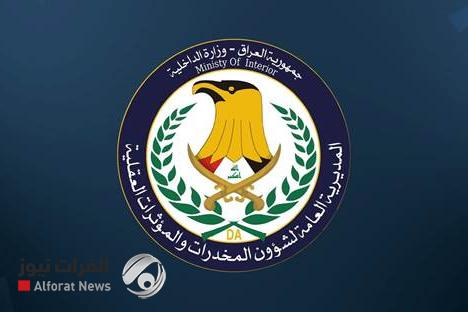 284 تاجراً و3 أطنان مخدرات.. حصيلة غير مسبوقة لشؤون المخدرات في 2025