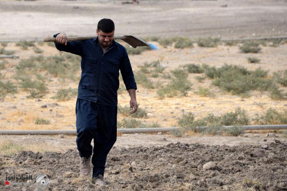 الزراعة النيابية: واردات تركيا لا تلبي نصف حاجة العراق من المياه و70% من أراضينا تحولت إلى صحارى