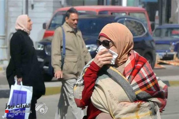 "الفيروس المجهول".. مصر تكشف تفاصيل "الحالة الوبائية"