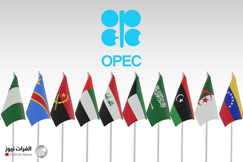 Energy expert calls for Iraq to be freed from OPEC deal as oil prices fall