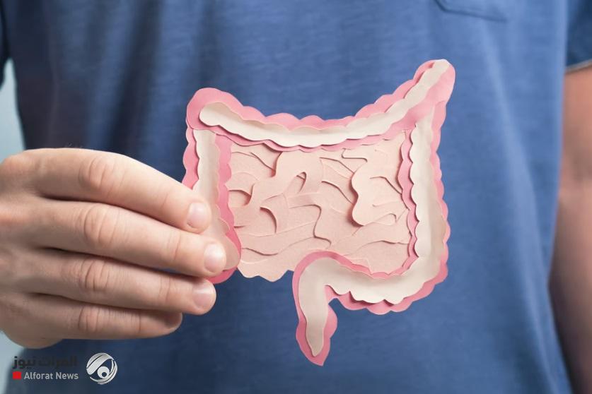 3 أخطاء ترتكبها عند الاهتمام بصحة أمعائك