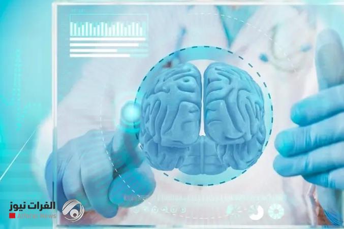 دراسة: خلايا الذاكرة في الدماغ تتجدد حتى أواخر البلوغ