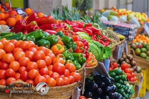 العراق يحقق الاكتفاء الذاتي في 6 محاصيل زراعية
