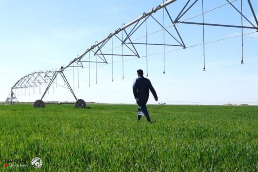 الزراعة النيابية :الخطة الزراعية لعام 2026 مرهونة بالإطلاقات المائية والسنوات الرطبة