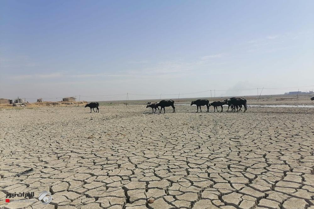 محافظ ميسان: موجة نزوح سكانية بسبب شح المياه