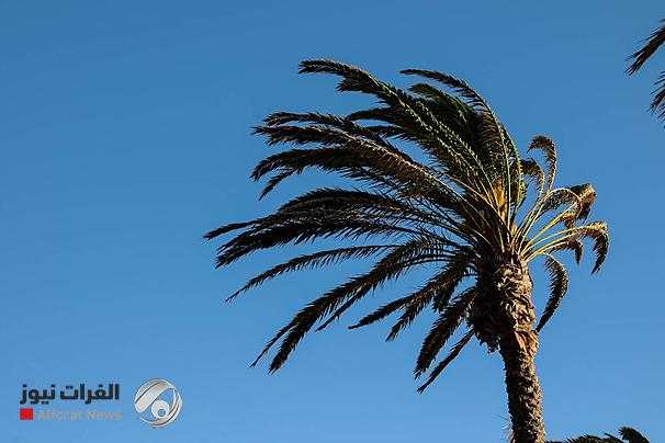 عواصف وانخفاض في درجات الحرارة مطلع الأسبوع المقبل
