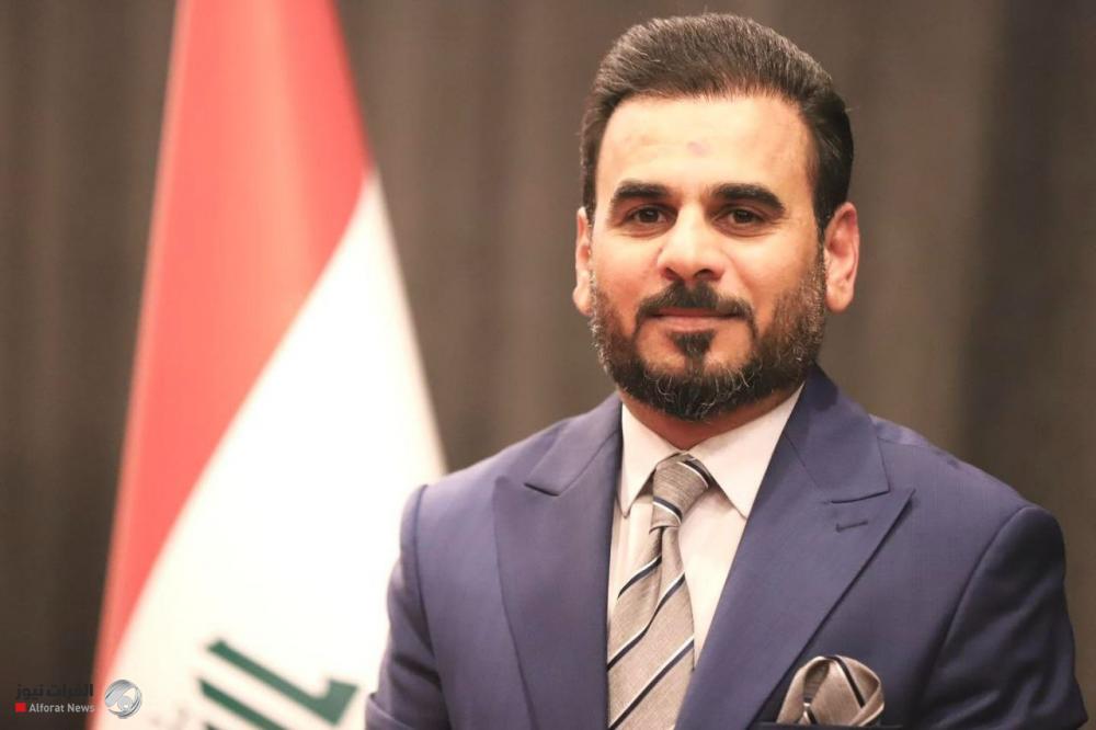 Shaddad reveals the existence of moves to block the passage of the budget