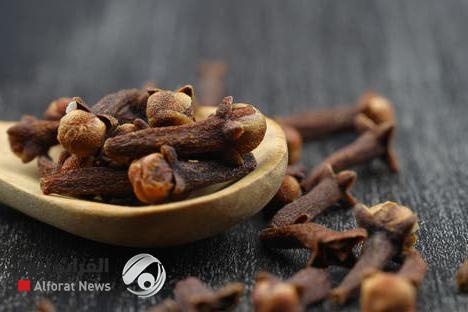 حبة قرنفل يوميًا.. تحسن صحة القلب وتُنظّم الكوليسترول