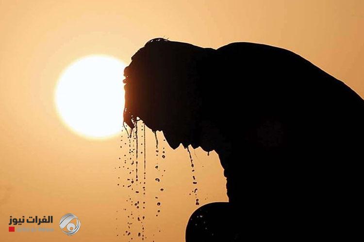 دراسة: صيف 2023 كان الأكثر سخونة منذ ألفي عام
