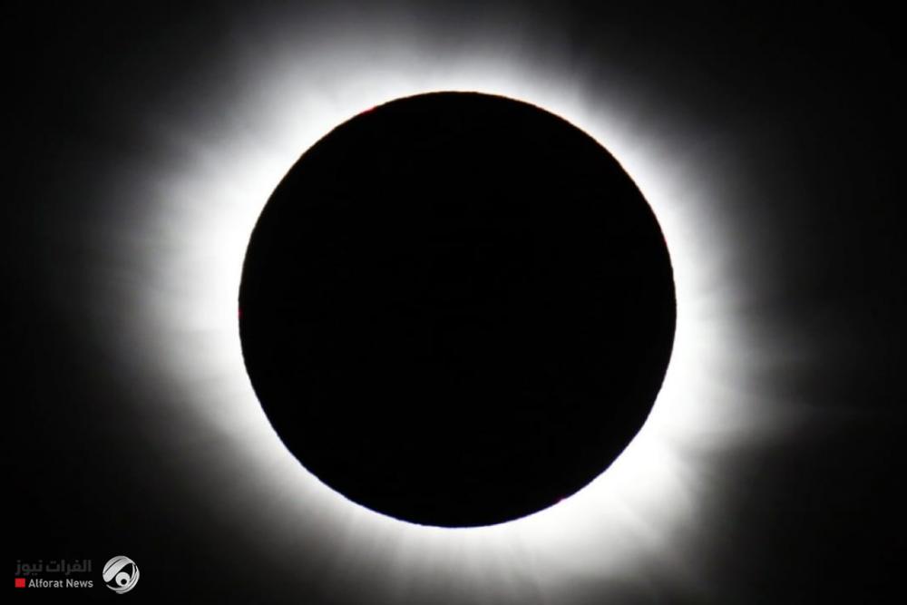 أول كسوف للشمس في 2024.. وعلماء يرصدون ما سيحدث للحيوانات
