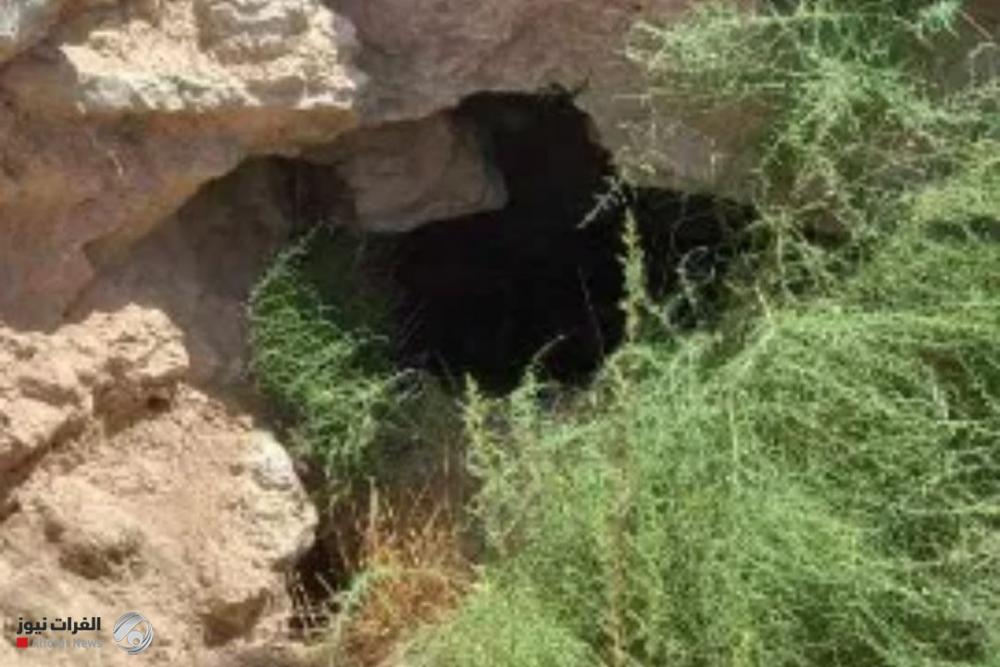 الحشد يضبط وكراً لداعش بين محافظتي الأنبار وصلاح الدين