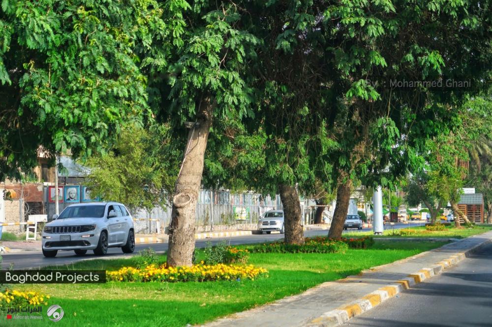 أمانة بغداد: حملة كبرى جداً لزراعة الأشجار المعمرة في العاصمة مطلع أيلول المقبل