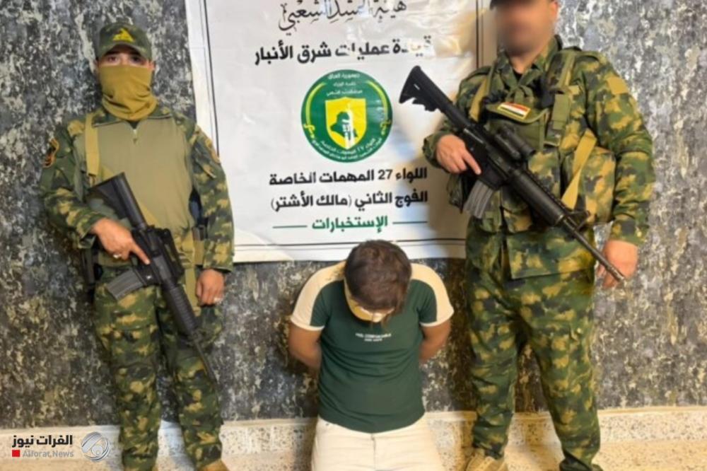 الحشد يعتقل شخصا يعمل بتجارة الأعضاء البشرية والبغاء في الأنبار
