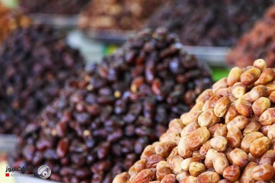 الزهدي يقود الصدارة.. العراق يتجاوز 600 ألف طن من صادرات التمور