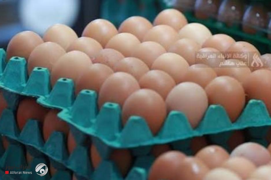 التجارة تحدد تسعيرة رسمية لطبقة البيض