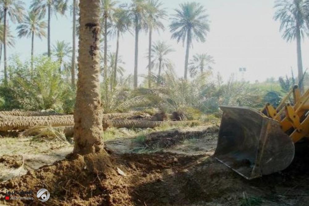 أمانة بغداد تعلن إيقاف تجريف الأراضي الزراعية جنوب العاصمة