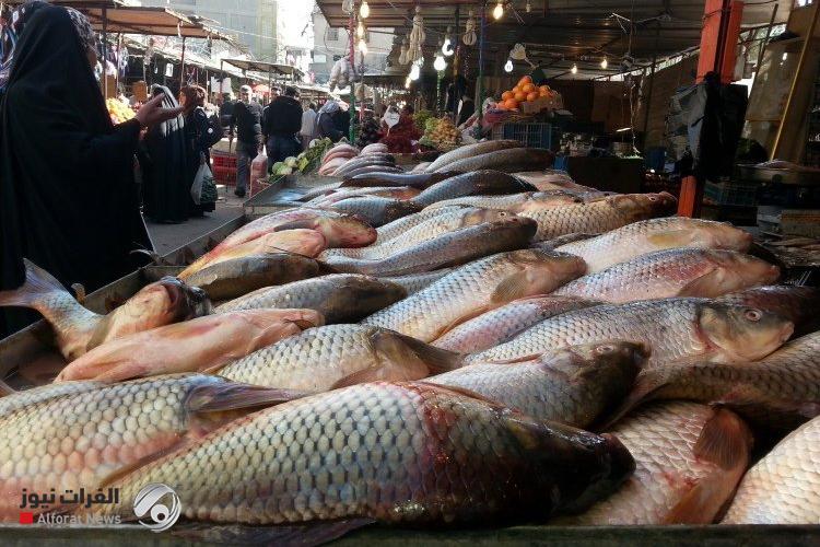 الزراعة تدعو لاعتماد النظام المغلق لتربية الأسماك لمواجهة شح المياه والتلوث