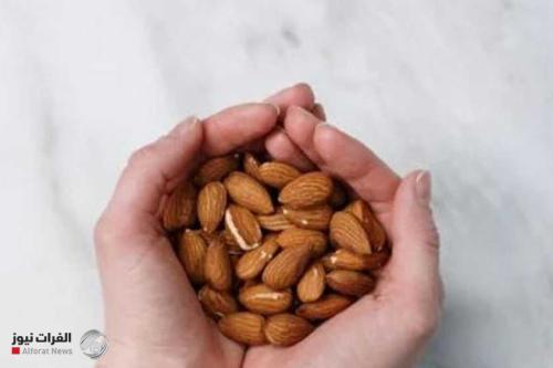 اللوز.. "كنز صحي" يحمي دماغك
