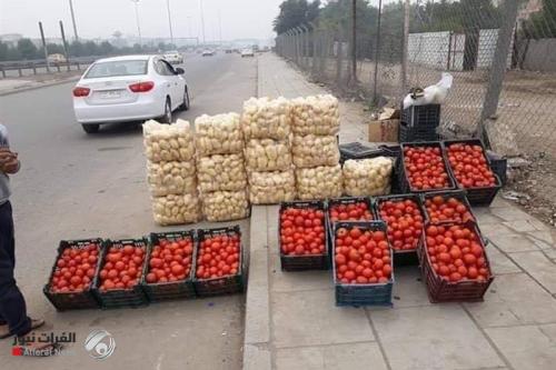 الاكتفاء الذاتي لم يمنع الاستيراد.. الزراعة تكشف كيف توازن بين التصدير وتلبية الأسواق المحلية
