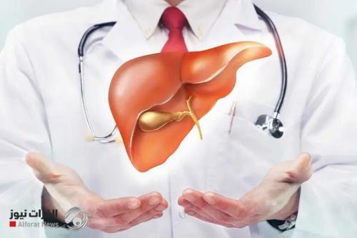 أخصائي من هرفارد: تناول 4 وجبات خفيفة أسبوعيًا لعلاج الكبد الدهني