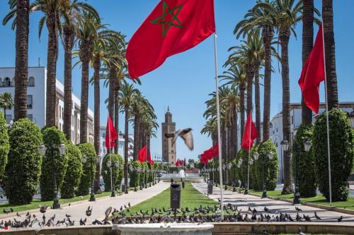 المغرب.. قلق من "البق الفرنسي" وخبراء يوضحون المخاطر