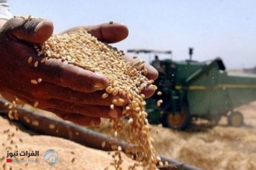 وزارة التجارة تعلن رفع الطاقة الخزنية للحنطة بمقدار 1.6 مليون طن