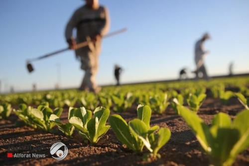 معوقات كبرى تواجه الاستثمار في الصناعة والزراعة.. ما الخطر القادم؟