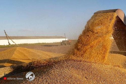 التجارة: مخازننا ممتلئة بالطحين والمواد الغذائية وأيام عاشوراء لم تؤثر على الأسعار