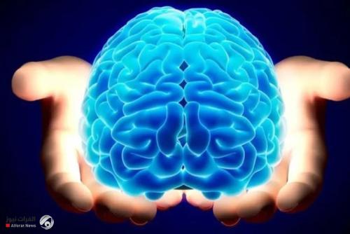 8 تقنيات لزيادة التركيز وتعزيز قوة الدماغ