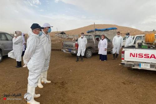 كركوك تسجل 4 إصابات جديدة بالحمى النزفية