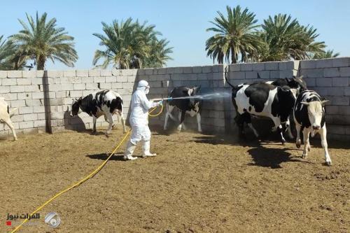الصحة تعلن تسجيل 5 إصابات جديدة بالحمى النزفية