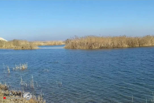 المركز الوطني: الأمطار الأخيرة رفعت مخزون سدود العراق بأكثر من 750 مليون متر مكعب