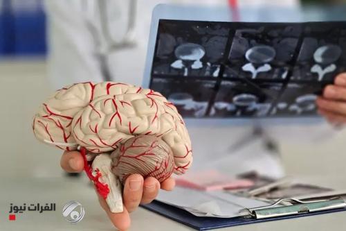 دراسة تكشف عن جزيء يعيد تنشيط دفاعات الدماغ ضد ألزهايمر