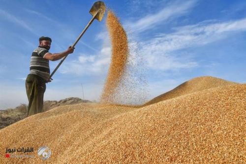 الدفاع المدني يطلق خطة لحماية الحنطة والشعير من الحرائق