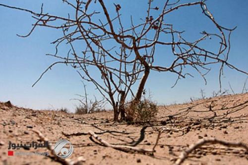 1.3 مليار دولار لدعم مشاريع المناخ في العراق