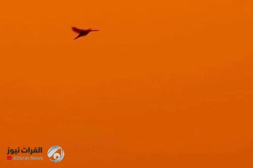 استمرار موجات الغبار في العراق.. وفرص لأمطار غزيرة اليوم
