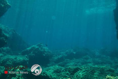 اكتشاف علمي.. جمجمة مدفونة قبل أكثر من 140 ألف عام بقاع المحيط