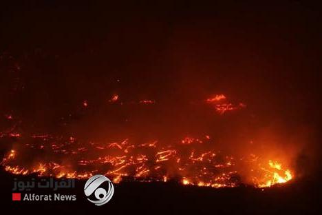 حرائق جديدة بريف الساحل السوري.. وتحذيرات من خطورة الوضع